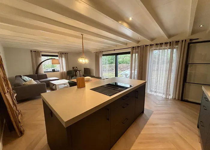 Ferienpark Luxe Recreatiewoning In Bosrijke Omgeving 6 Personen Met Verdieping *